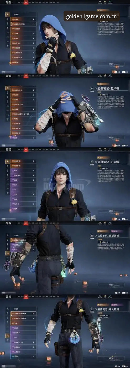 爱游戏IGAME年度灼金版CN站 vs 普通版：哪个更适合赛事追踪玩家？